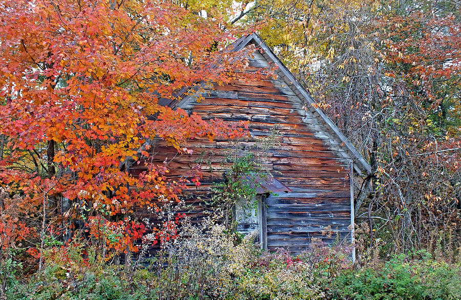 Old Baptist Church in the Fall Photograph by Duane McCullough
