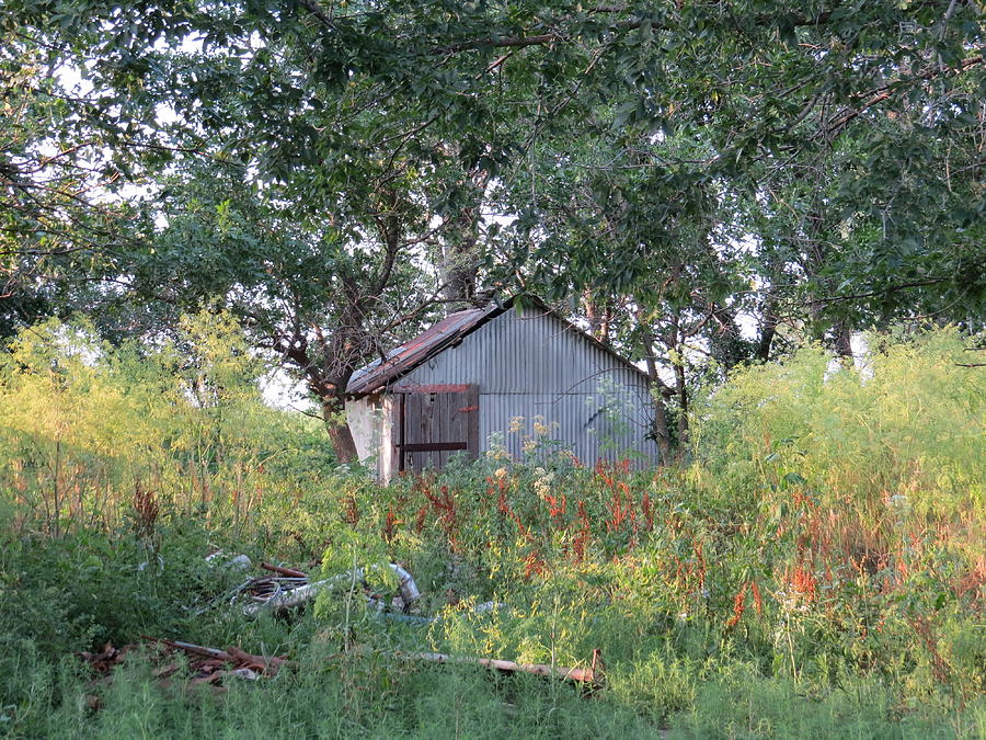 Old barn Photograph by Aaron Martens