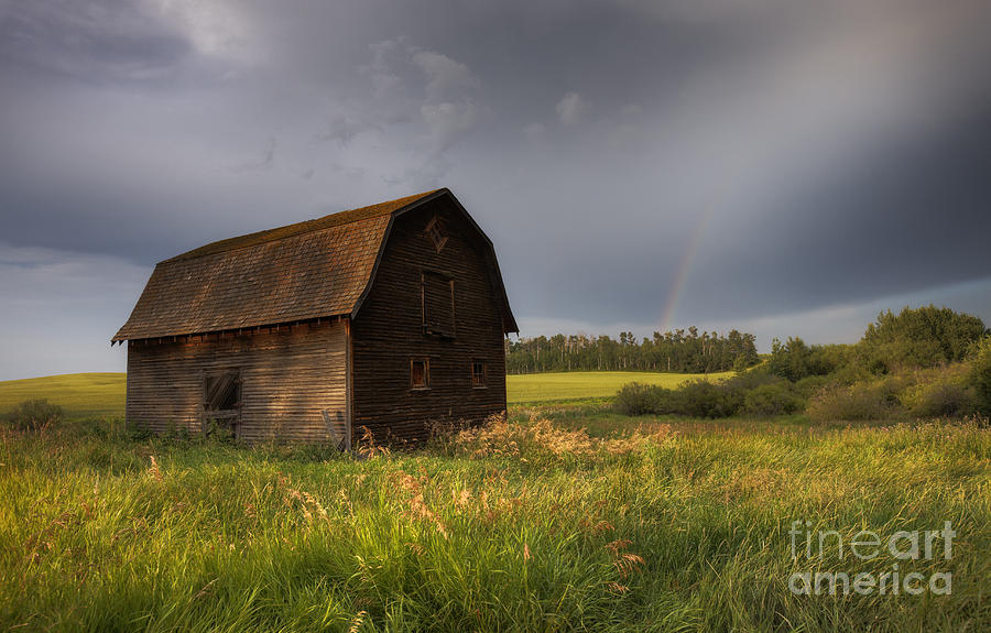 Summer Photograph - Old Barn After the Rain by Dan Jurak