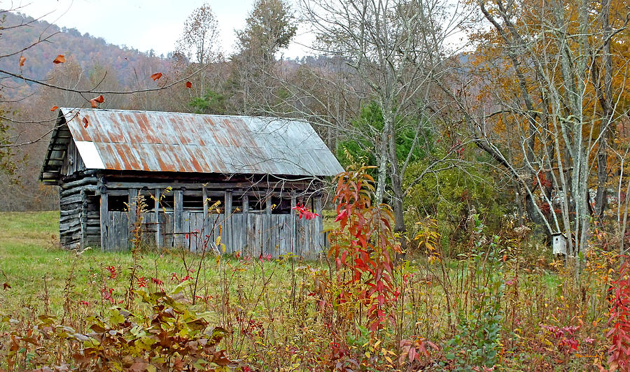 Old Barn and Bird House Photograph by Duane McCullough