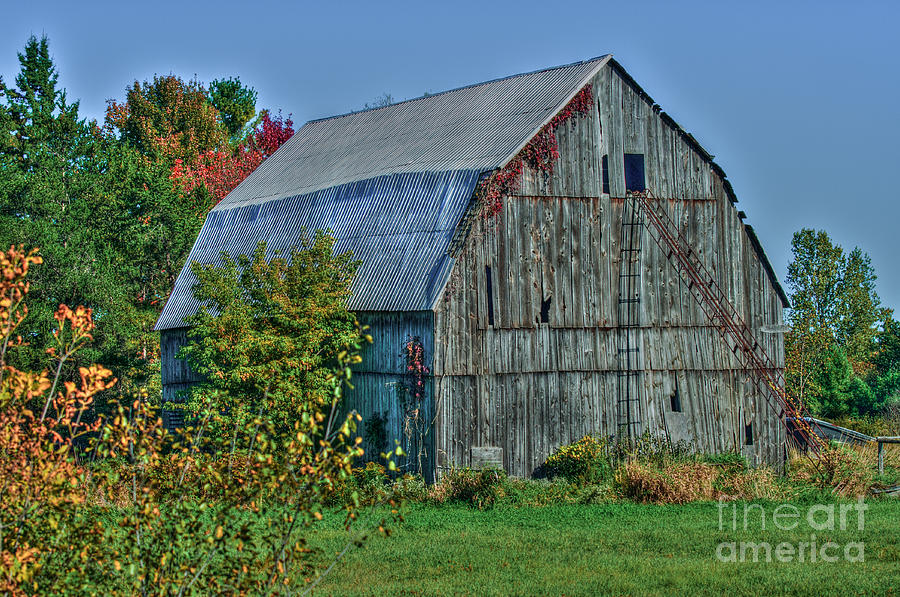 Old Barn Photograph by Bianca Nadeau