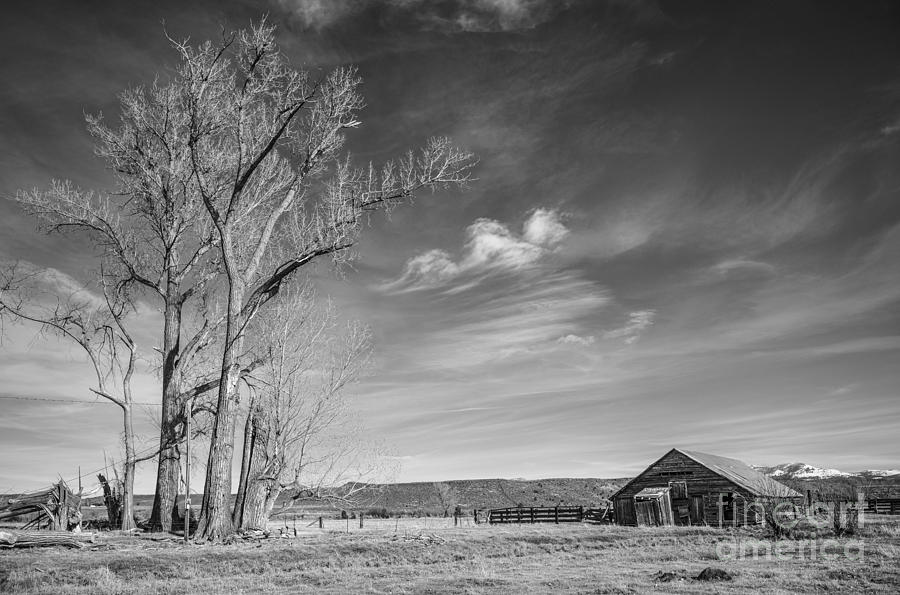 Old Barn Black and White Photograph by Dianne Phelps