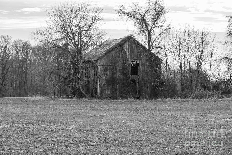 Landscape Photograph - Old Barn by Charles Kraus