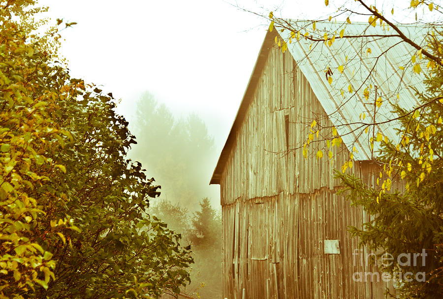 Old Barn Photograph by Cheryl Baxter