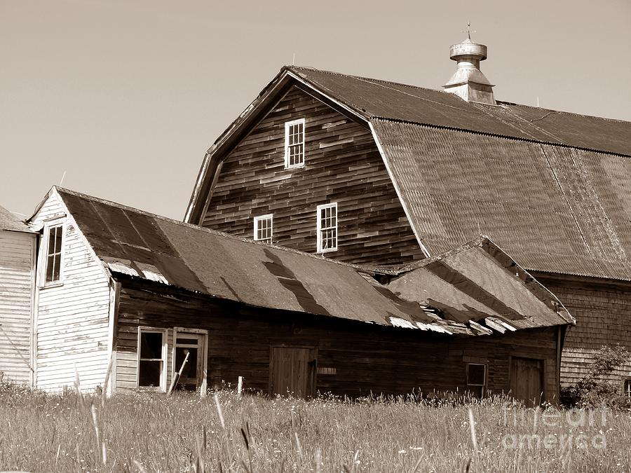 Old Barn Photograph