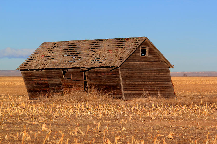Old Barn Photograph by Shane Bechler