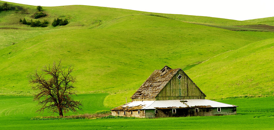 Old Barn Photograph by David Kay