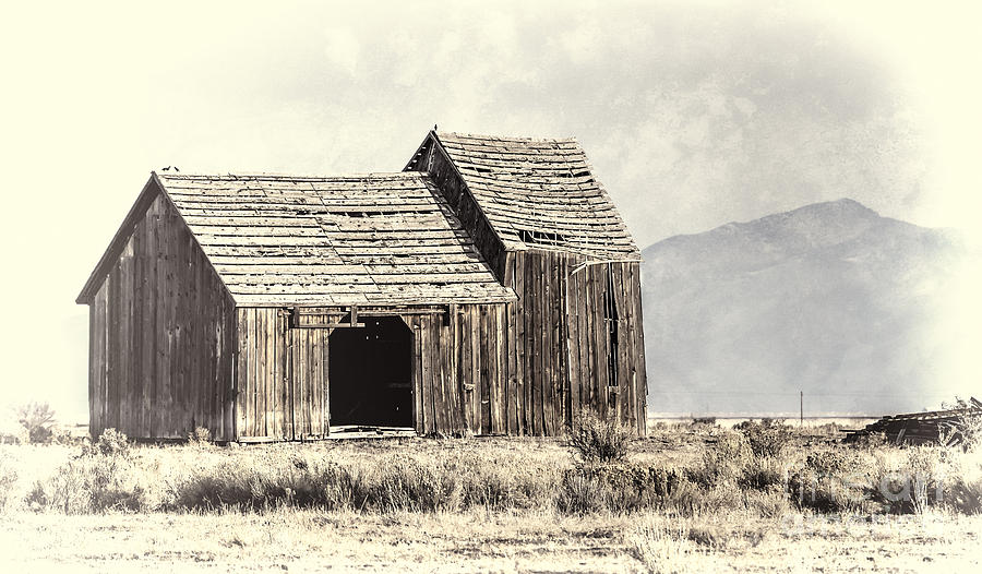 Old Barn Photograph by Dianne Phelps