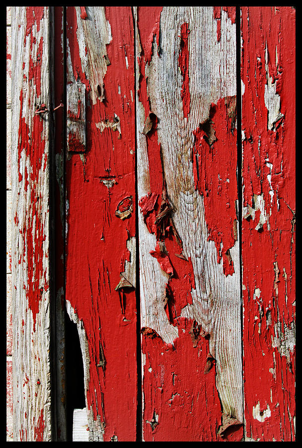 Old Barn Door Photograph by John Lautermilch
