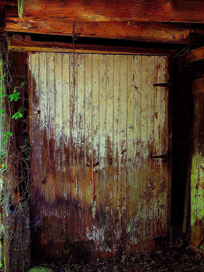 Old Barn Door Photograph By Steve Doris