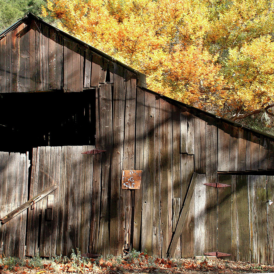 Old Barn in Autumn Photograph by Art Block Collections