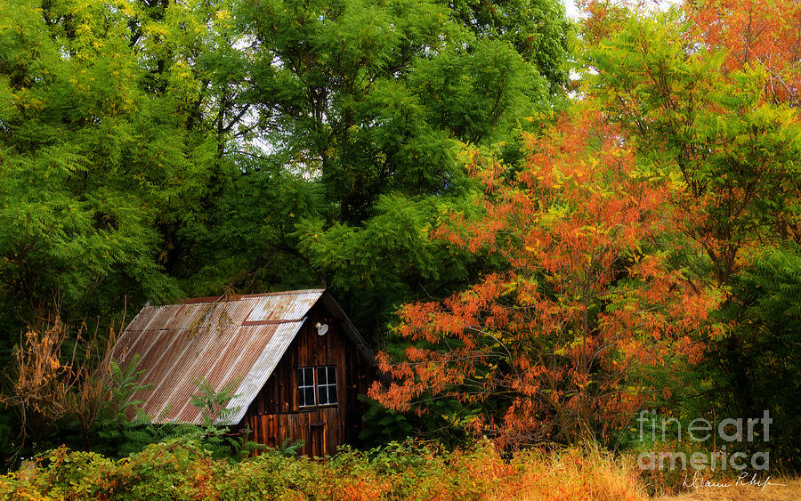 Old Barn in Autumn Photograph by Dianne Phelps