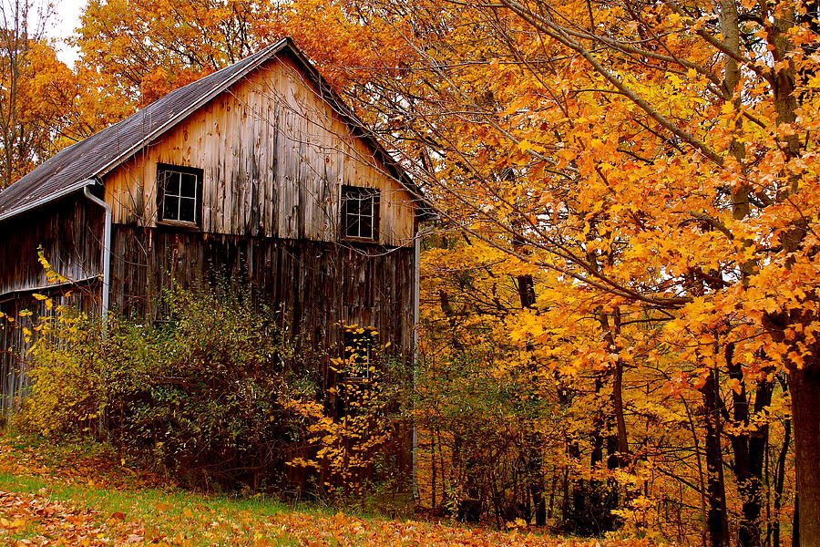 Old Barn in Autumn Photograph by Judd Connor | Fine Art America