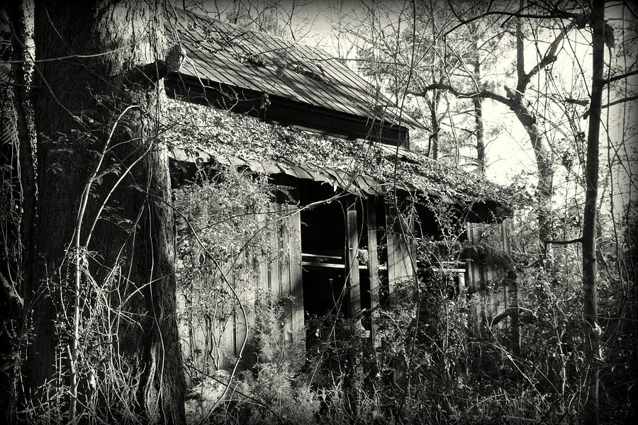 Old Barn in Black and White Photograph by Lisa Wooten