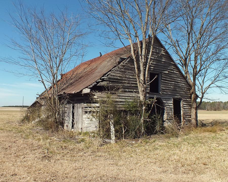 Old Barn in Eastern Rural North Carolina Painting by Peni Baker | Fine ...