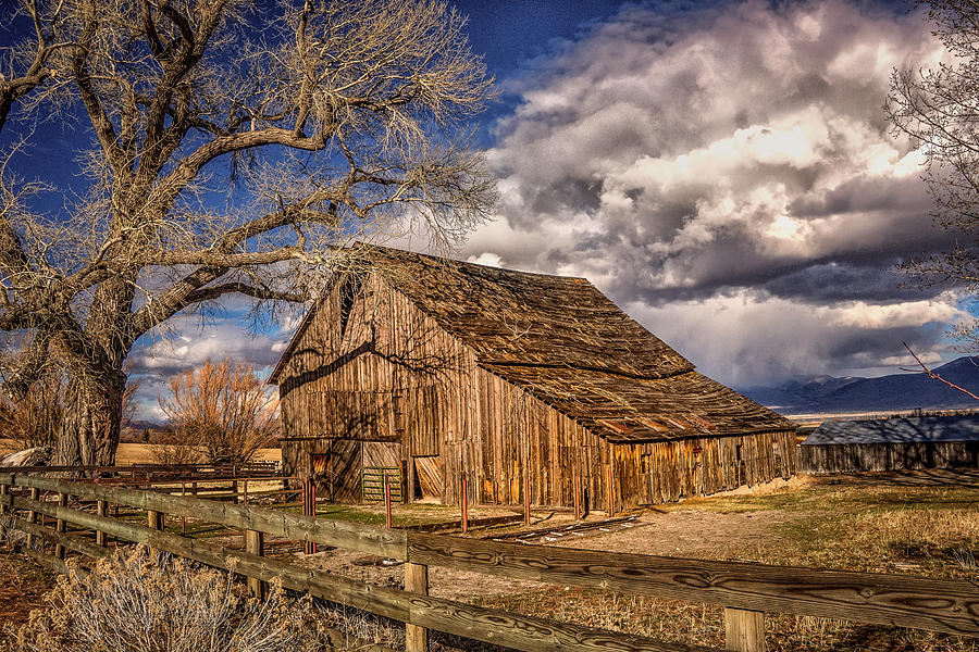 Old Barn in Franktown Photograph by Janis Knight