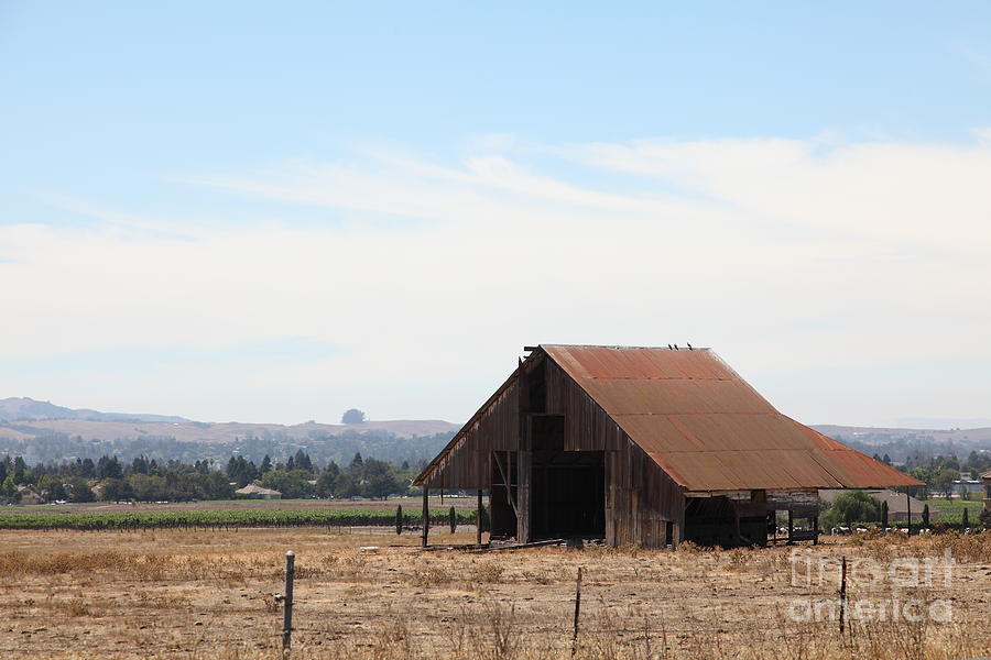 Barn Photograph - Old Barn in Petaluma California 5D24404 by Wingsdomain Art and Photography