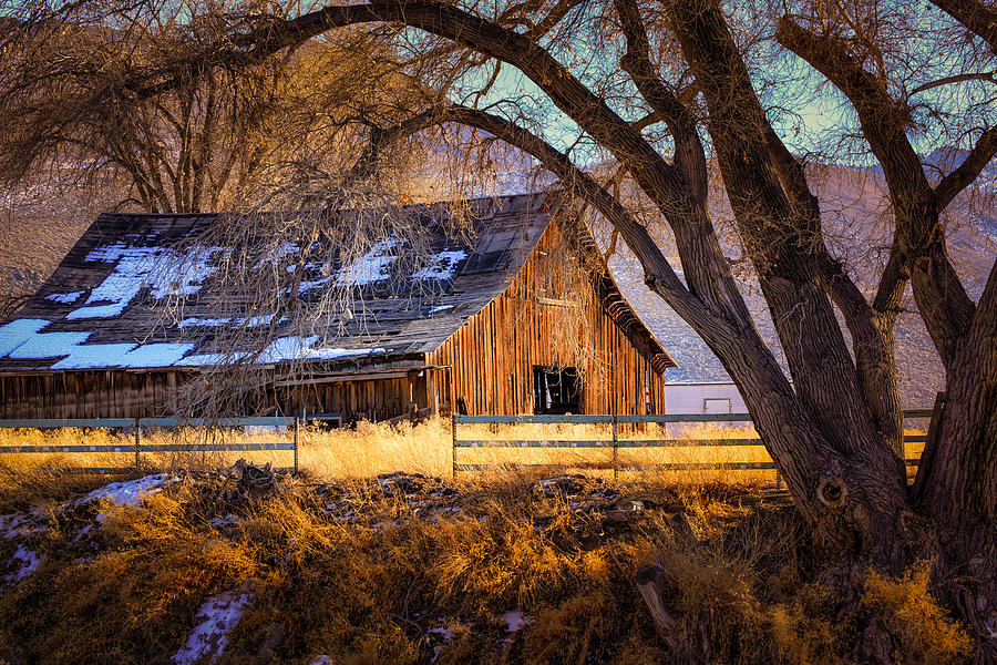 Old Barn In Sparks Photograph