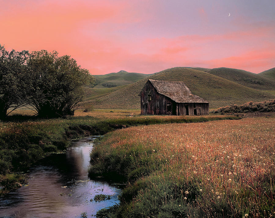 Old barn in the Pioneer Mountains Photograph by Leland D Howard