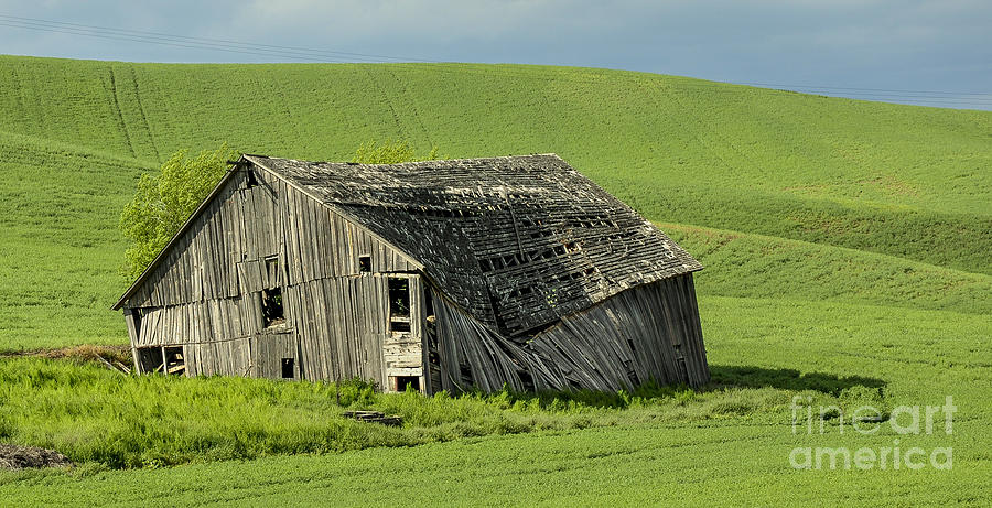 Moscow Photograph - Old Barn in the Summer by Camille Lyver