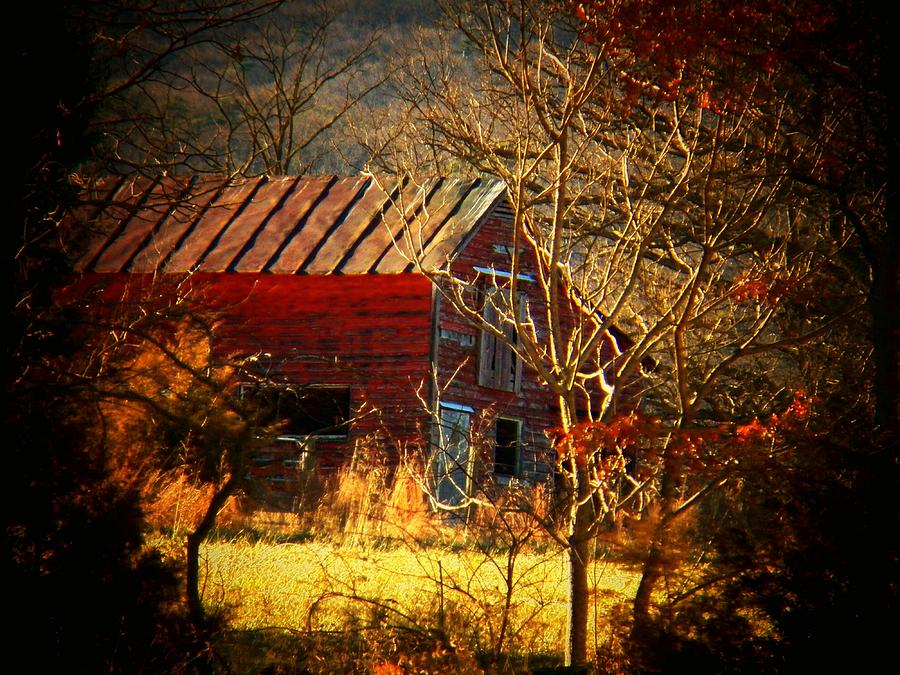 Old Barn in the Woods Photograph by Joyce Kimble Smith