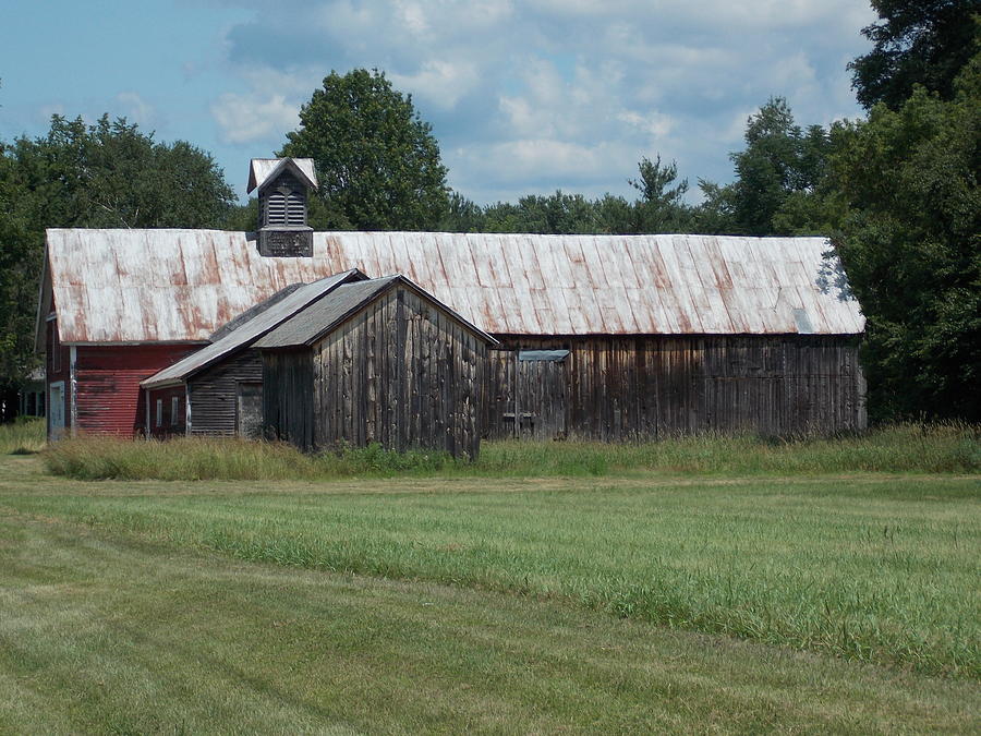 Old barn in Vermont Photograph by Catherine Gagne
