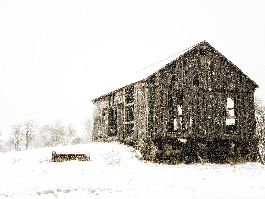Winter Photograph - Old Barn in Winter by Claudio Bacinello