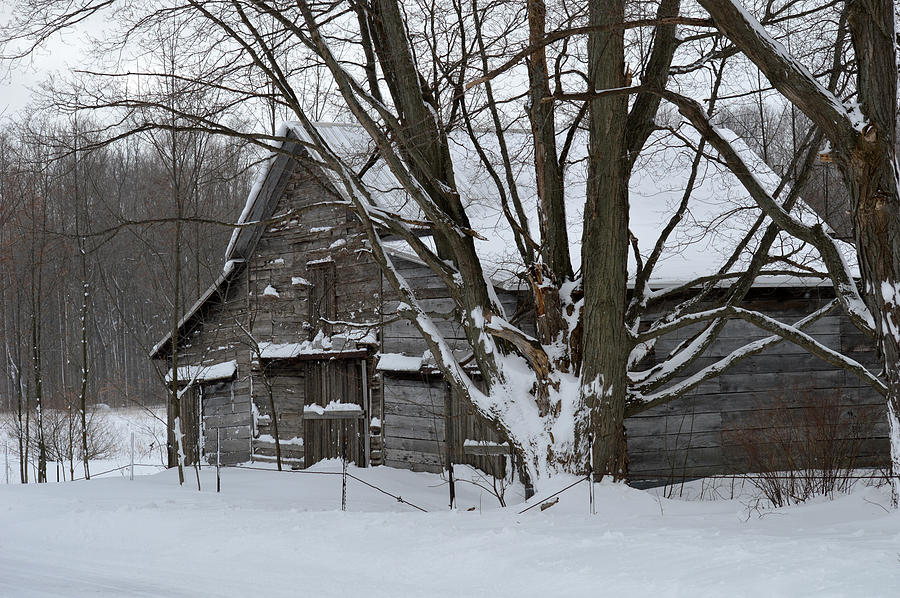 Old Barn in Winter Photograph by Linda Kerkau