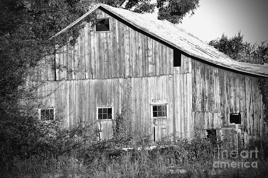 Old Barn  Photograph by Karen Adams