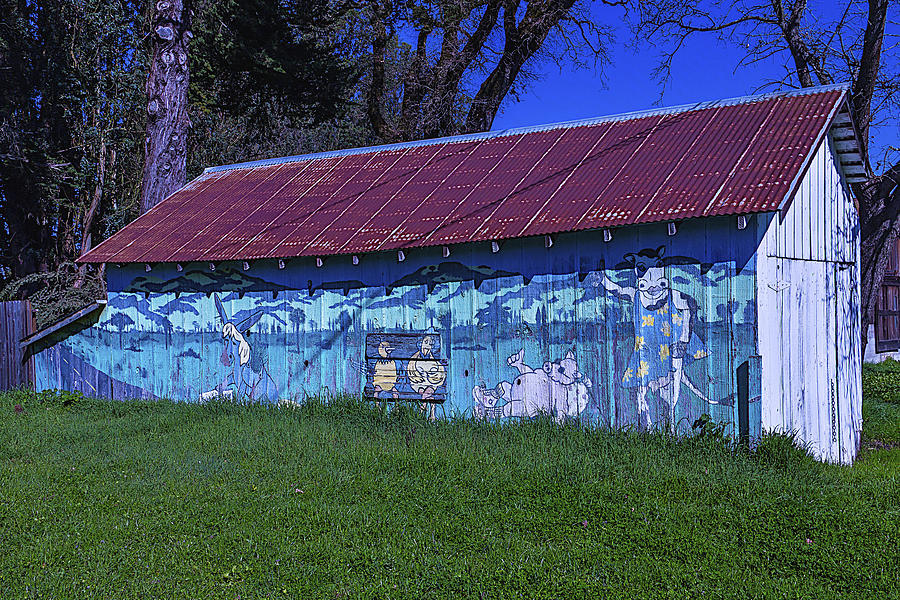 Old Barn Mural Photograph by Garry Gay