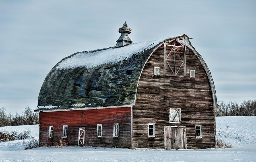 Old Barn Needs Paint Photograph by Paul Freidlund