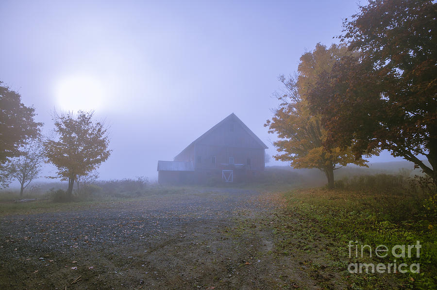Old barn on a foggy blue autumn morning in Vermont Photograph by Don Landwehrle