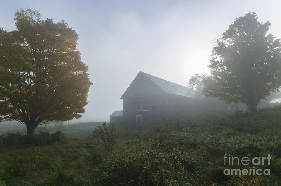 Old Barn On A Foggy Early Morning Photograph By Don Landwehrle Fine Art America 1587