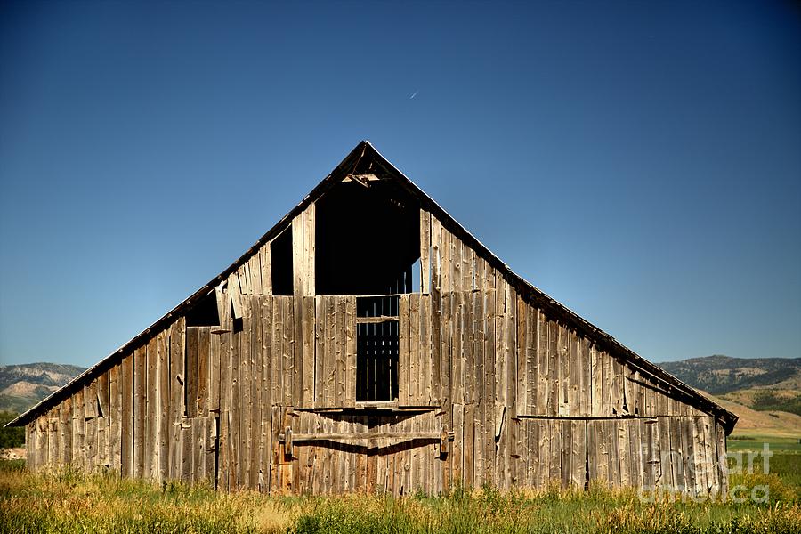 Old Barn Photograph by Roxie Crouch