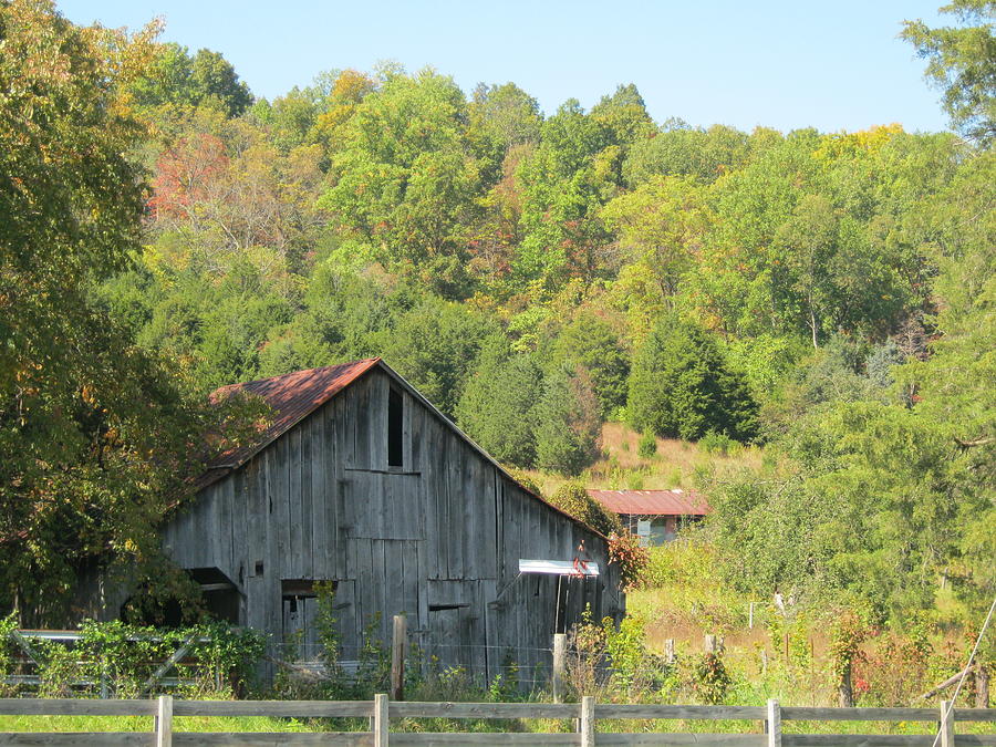 Tree Photograph - Old Barn by Sarah Manspile