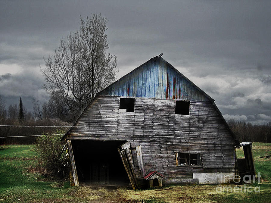 Old Barn still standing Photograph by Elaine Berger