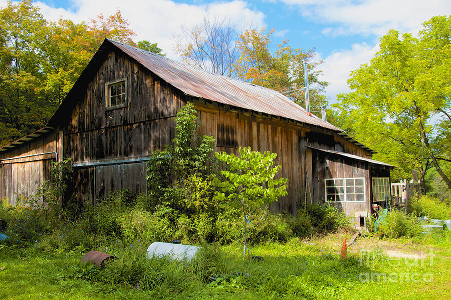 Old Barn Photograph by William Norton