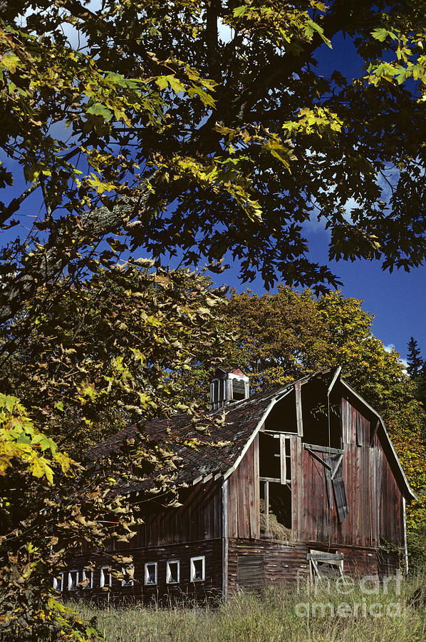 Old barn with fall colors Photograph by Jim Corwin