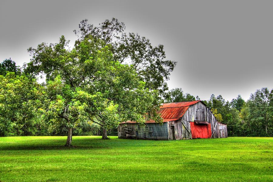 Old Barn with Red Door Photograph by Lanita Williams