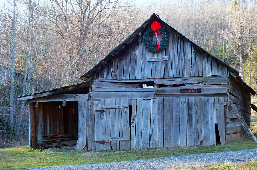 Old Barn with White Cat in Winter 2 Photograph by Duane McCullough