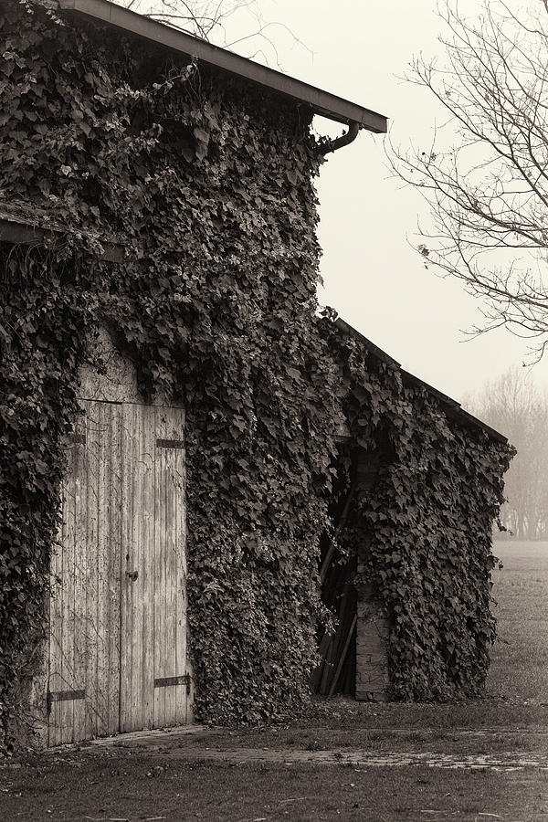 Old Barn With Wooden Doors Closed Photograph by Fotosearch