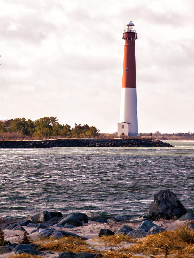 Old Barney Photograph By Michael Attanasio - Fine Art America