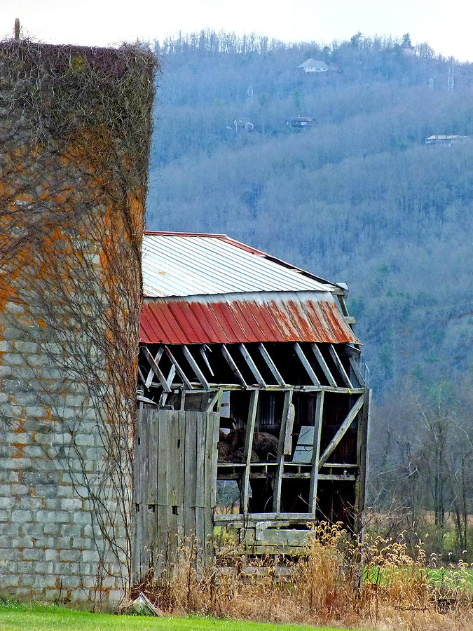 Old Barns 3 in Eastern Transylvania County Photograph by Duane McCullough