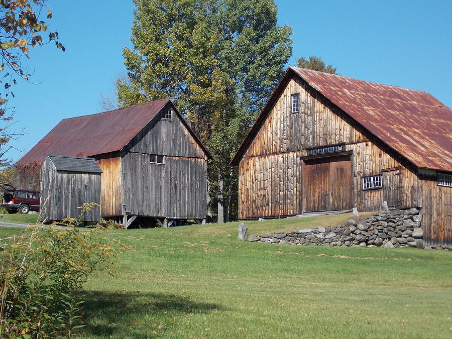 Old Barns Photograph by Catherine Gagne