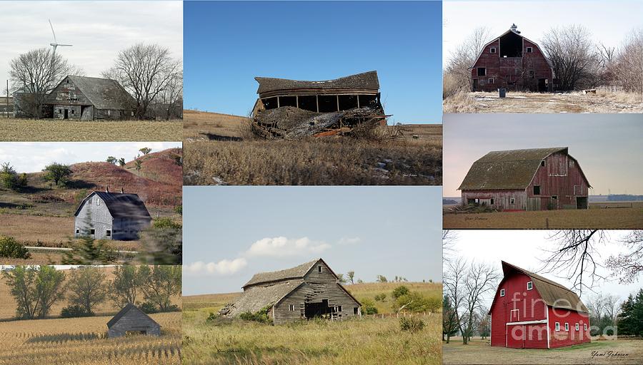 Old Barns collage Photograph by Yumi Johnson