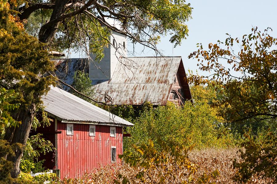 Old Barns Photograph by Cynthia Woods