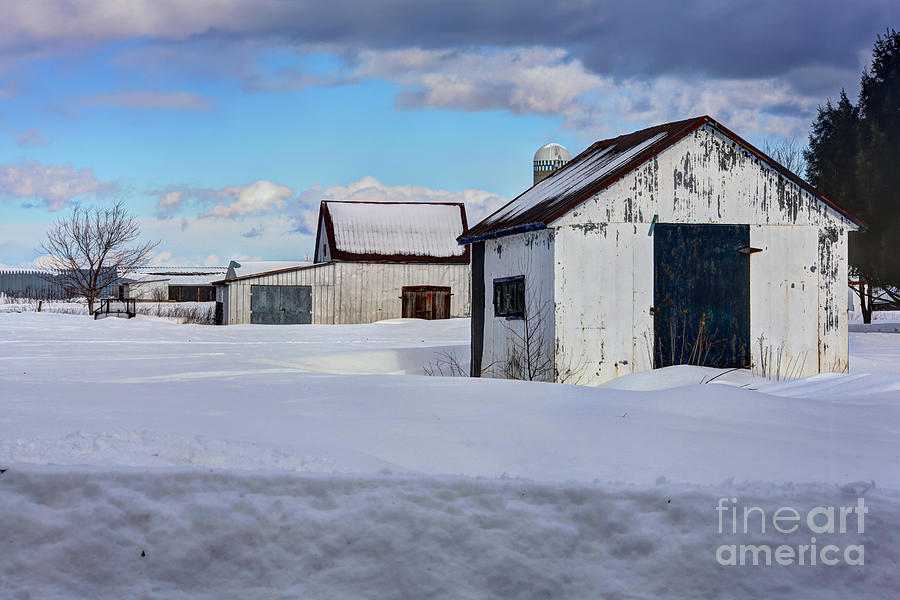 Old Barns In Winter Photograph By Sophie Vigneault