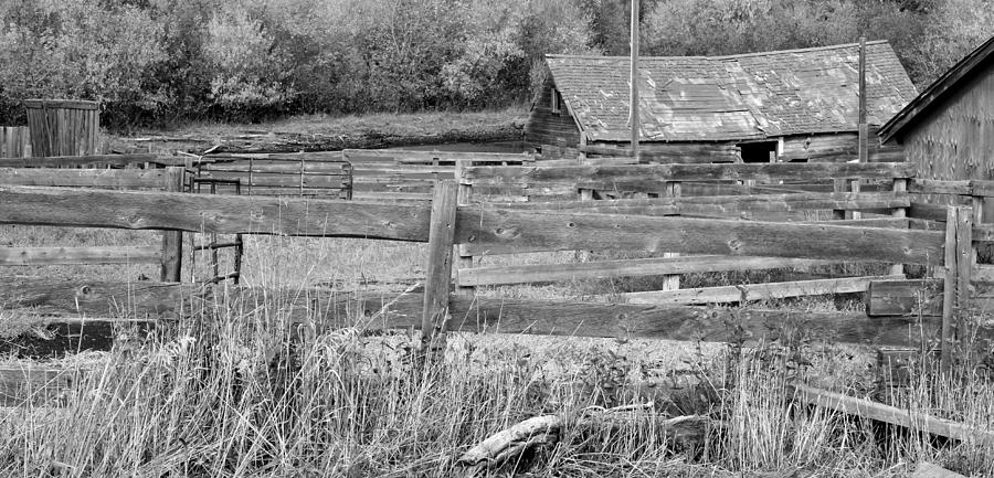 Old Barnyard in monochrome Photograph by Jim Sauchyn