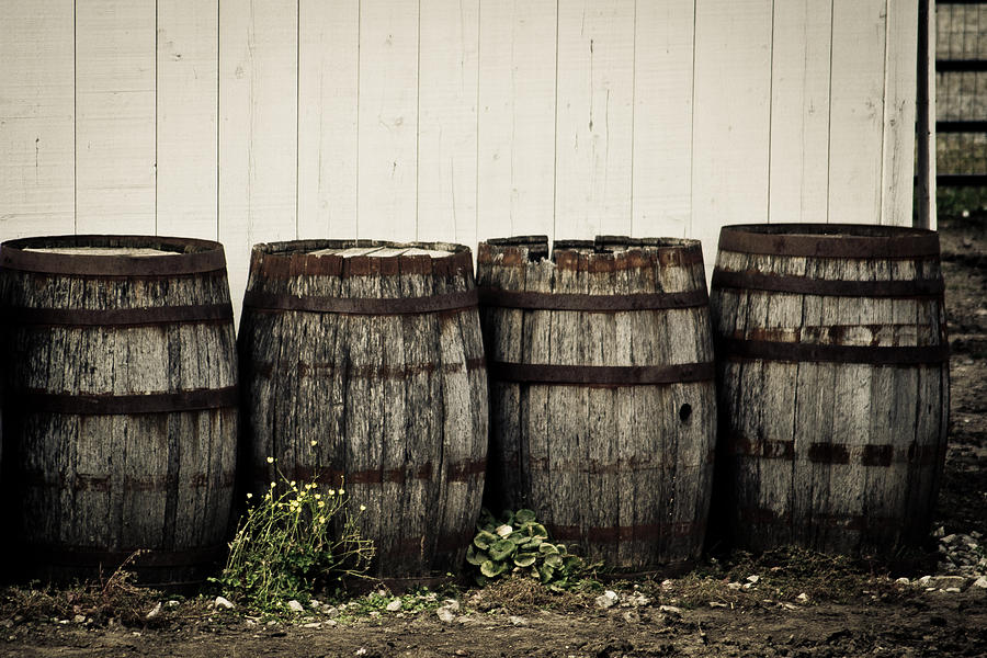 Old Barrels Photograph by Kristy Creighton