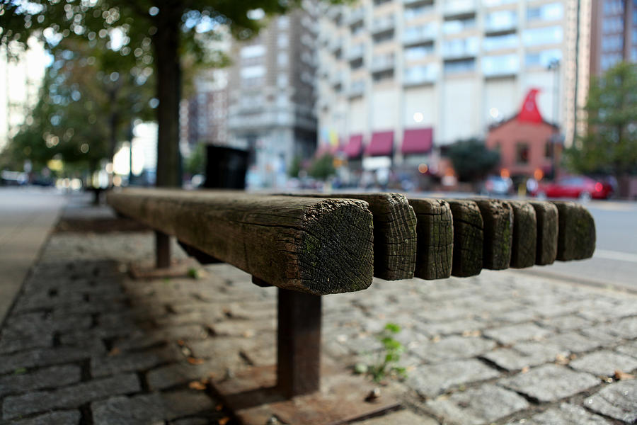 Old bench in Philadelphia Photograph by Dorin Adrian Berbier